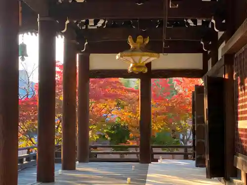 妙顯寺（妙顕寺）のその他建物