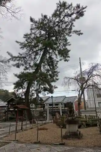 縣神社の庭園