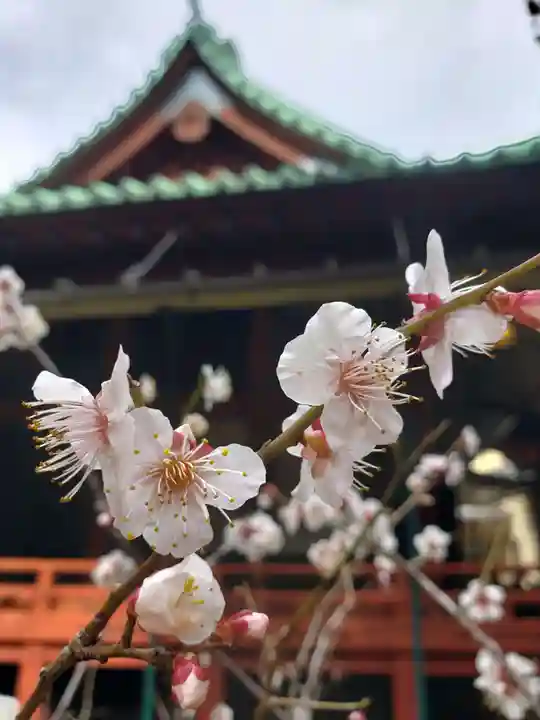 赤坂氷川神社(東京都)