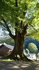 石部神社の建物その他