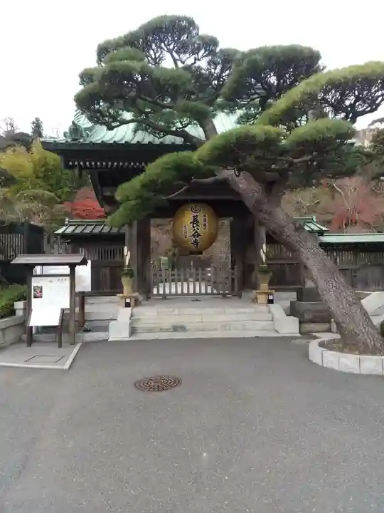 長谷寺の山門・神門