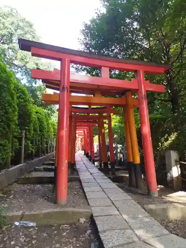 乙女稲荷神社の鳥居