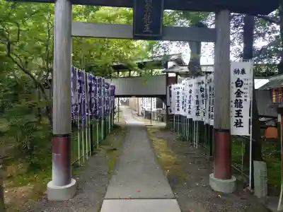 若宮神明社の{uncategorized: "未分類", other: "その他", undefined: "問題あり", building: "その他建物", grave: "お墓", sacred_gate: "鳥居", guardian: "狛犬", statue: "像", buddha: "仏像", history: "歴史", nature: "自然", garden: "庭園", animal: "動物", pagoda: "塔", temizu: "手水舎", mountain_gate: "山門・神門", sanctuary: "本殿・本堂", subordinate: "末社・摂社", art: "芸術", scenery: "景色", jizo: "地蔵", ema: "絵馬", goshuin: "御朱印", omikuji: "おみくじ", items: "授与品その他", amulet: "お守り", goshuincho: "御朱印帳", eats: "食事", festival: "お祭り", votive_dance: "神楽", shichigosan: "七五三参", wedding: "結婚式", experience: "体験その他", initially: "初詣", around: "周辺", anti_infection: "感染症対策"}