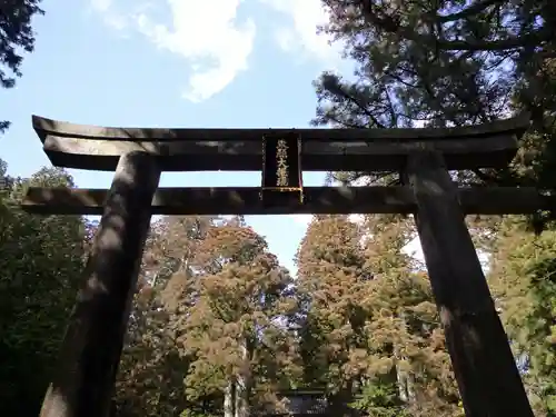 日光東照宮の鳥居