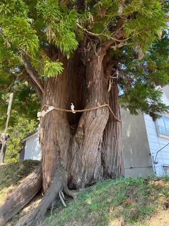 岩木山神社の自然