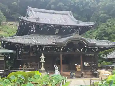 三室戸寺(京都府)