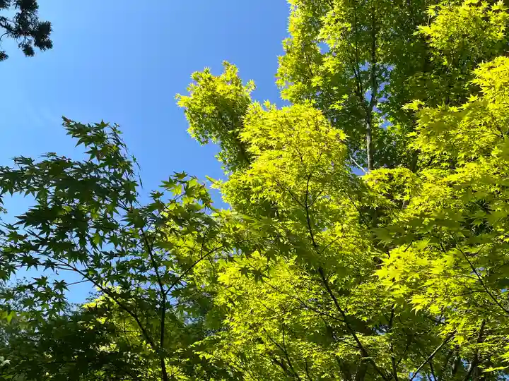 円通院(宮城県)