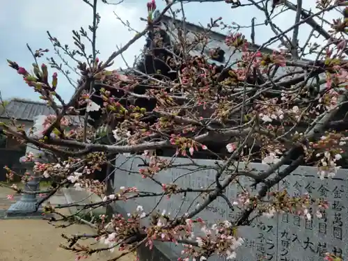 玉生八幡大神社(愛媛県)