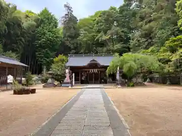 兵主神社の本殿・本堂