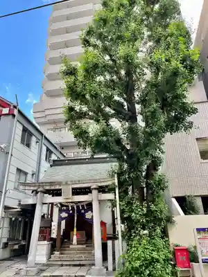 大井蔵王権現神社(東京都)