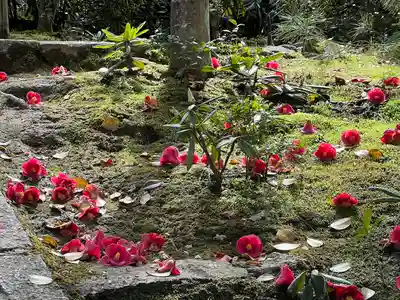 高台寺（高台寿聖禅寺・高臺寺）(京都府)
