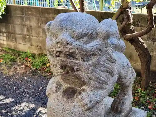 今津濱恵比須神社の狛犬