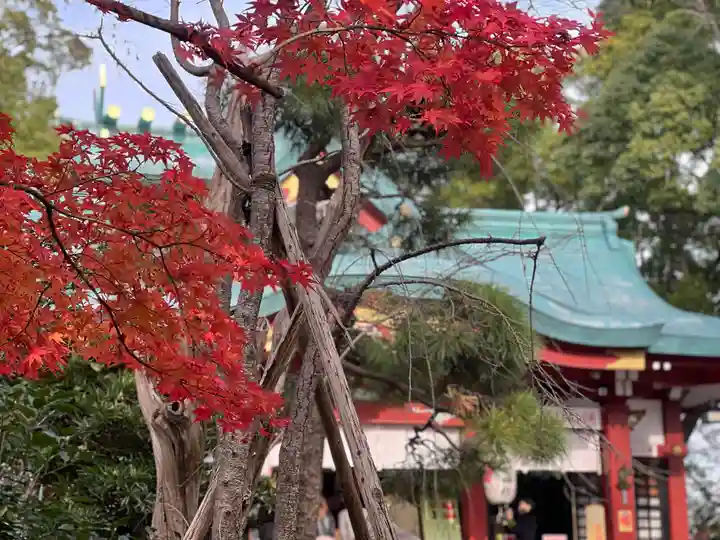 多摩川浅間神社(東京都)