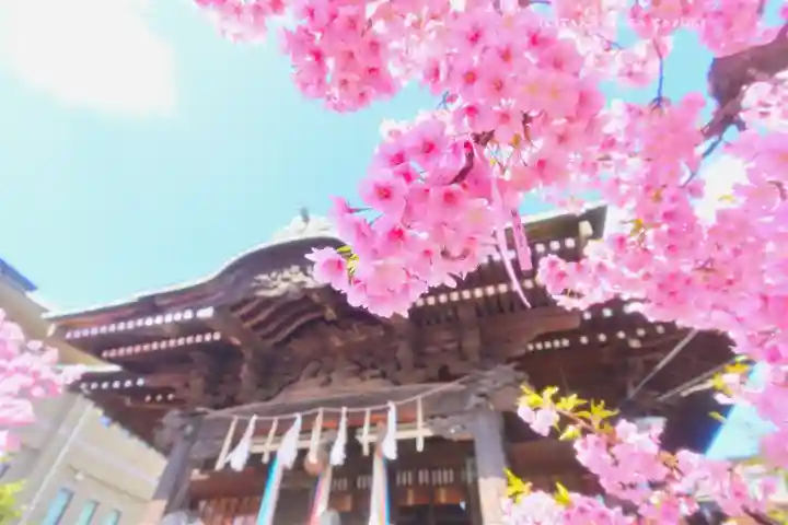 桜神宮(東京都)