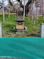 瀧桜神明宮(福島県)