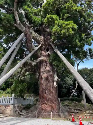 玉若酢命神社(島根県)