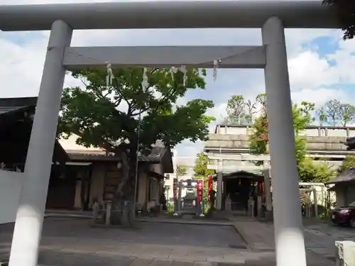 小菅神社の鳥居