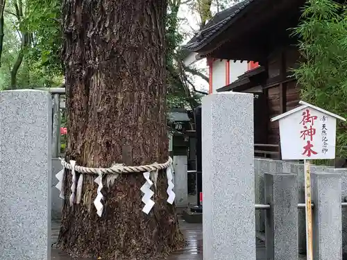 田無神社の自然