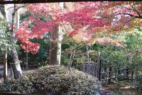 大法院の庭園