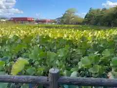 猿賀神社の自然