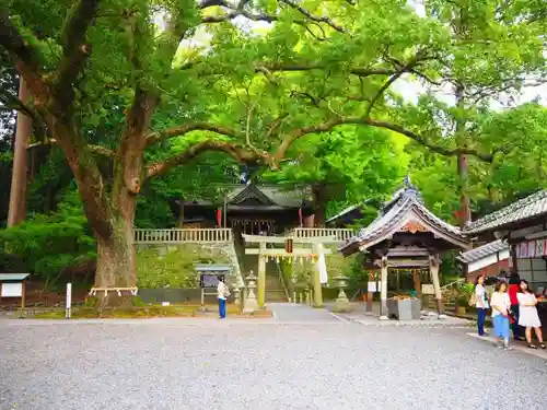 事任八幡宮の自然