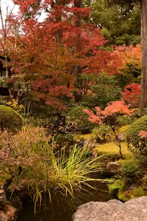 天授庵(京都府)