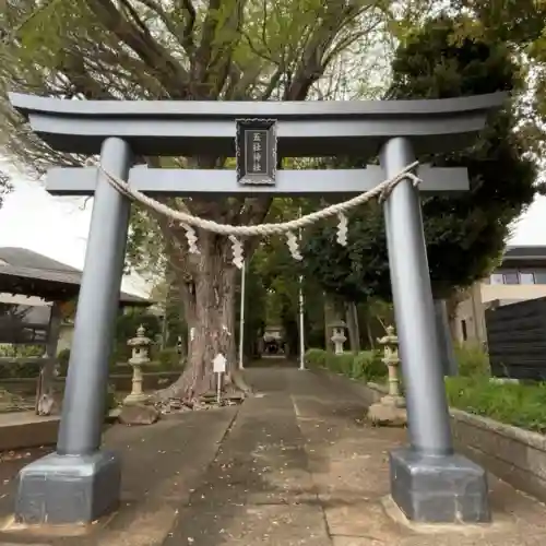 五社神社の{uncategorized: "未分類", other: "その他", undefined: "問題あり", building: "その他建物", grave: "お墓", sacred_gate: "鳥居", guardian: "狛犬", statue: "像", buddha: "仏像", history: "歴史", nature: "自然", garden: "庭園", animal: "動物", pagoda: "塔", temizu: "手水舎", mountain_gate: "山門・神門", sanctuary: "本殿・本堂", subordinate: "末社・摂社", art: "芸術", scenery: "景色", jizo: "地蔵", ema: "絵馬", goshuin: "御朱印", omikuji: "おみくじ", items: "授与品その他", amulet: "お守り", goshuincho: "御朱印帳", eats: "食事", festival: "お祭り", votive_dance: "神楽", shichigosan: "七五三参", wedding: "結婚式", experience: "体験その他", initially: "初詣", around: "周辺", anti_infection: "感染症対策"}