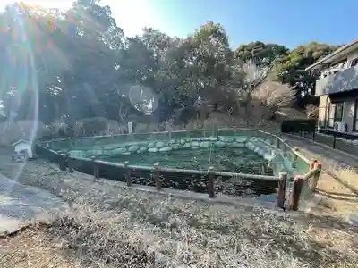 天疫神社(福岡県)