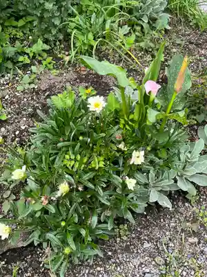 正傅寺(滋賀県)