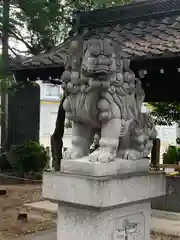 大井神社の狛犬