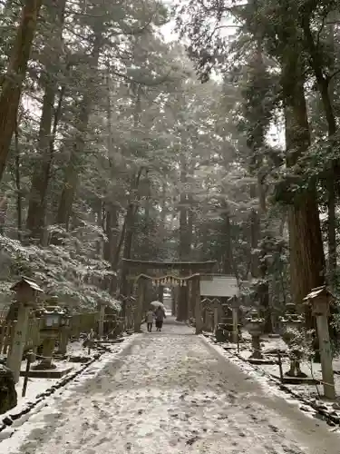 椿大神社の鳥居