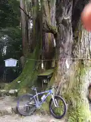 萩日吉神社(埼玉県)