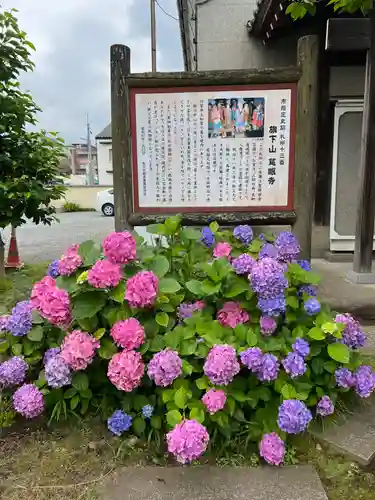 秩父札所十三番 慈眼寺の自然