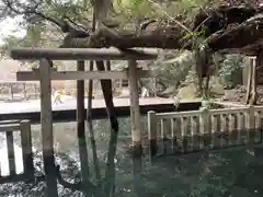 鹿島神宮(茨城県)