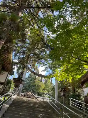 大神神社(奈良県)