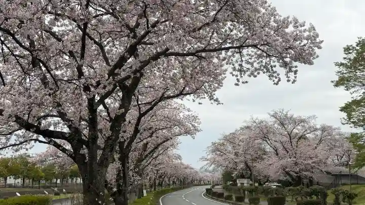 出雲大社相模分祠の{uncategorized: "未分類", other: "その他", undefined: "問題あり", building: "その他建物", grave: "お墓", sacred_gate: "鳥居", guardian: "狛犬", statue: "像", buddha: "仏像", history: "歴史", nature: "自然", garden: "庭園", animal: "動物", pagoda: "塔", temizu: "手水舎", mountain_gate: "山門・神門", sanctuary: "本殿・本堂", subordinate: "末社・摂社", art: "芸術", scenery: "景色", jizo: "地蔵", ema: "絵馬", goshuin: "御朱印", omikuji: "おみくじ", items: "授与品その他", amulet: "お守り", goshuincho: "御朱印帳", eats: "食事", festival: "お祭り", votive_dance: "神楽", shichigosan: "七五三参", wedding: "結婚式", experience: "体験その他", initially: "初詣", around: "周辺", anti_infection: "感染症対策"}