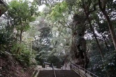 新田神社(鹿児島県)