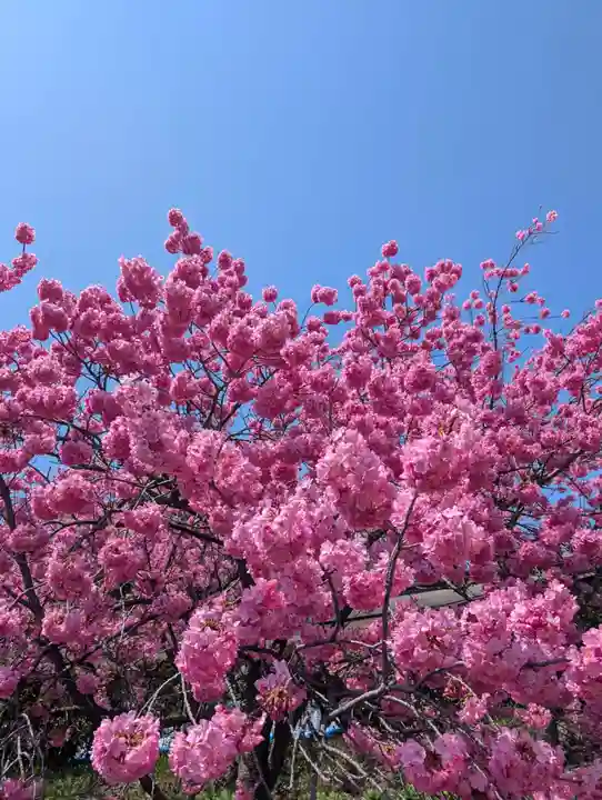 本牧神社(神奈川県)