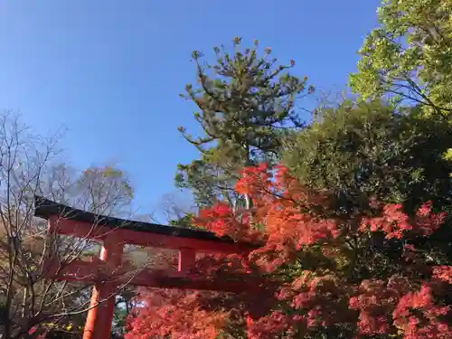 賀茂御祖神社（下鴨神社）の鳥居