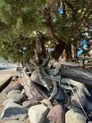 大瀬神社の{uncategorized: "未分類", other: "その他", undefined: "問題あり", building: "その他建物", grave: "お墓", sacred_gate: "鳥居", guardian: "狛犬", statue: "像", buddha: "仏像", history: "歴史", nature: "自然", garden: "庭園", animal: "動物", pagoda: "塔", temizu: "手水舎", mountain_gate: "山門・神門", sanctuary: "本殿・本堂", subordinate: "末社・摂社", art: "芸術", scenery: "景色", jizo: "地蔵", ema: "絵馬", goshuin: "御朱印", omikuji: "おみくじ", items: "授与品その他", amulet: "お守り", goshuincho: "御朱印帳", eats: "食事", festival: "お祭り", votive_dance: "神楽", shichigosan: "七五三参", wedding: "結婚式", experience: "体験その他", initially: "初詣", around: "周辺", anti_infection: "感染症対策"}