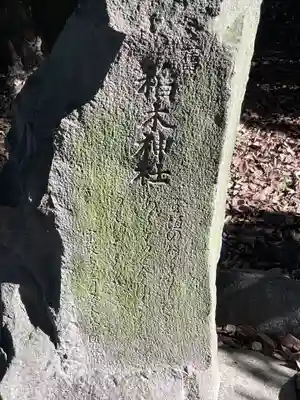 田中天神跡（稲木神社跡）(愛知県)