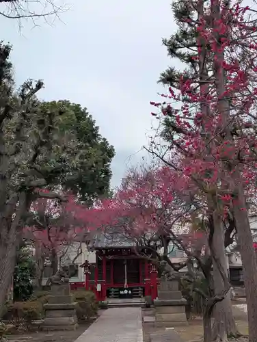 北野天神（仲六郷北野神社）(東京都)