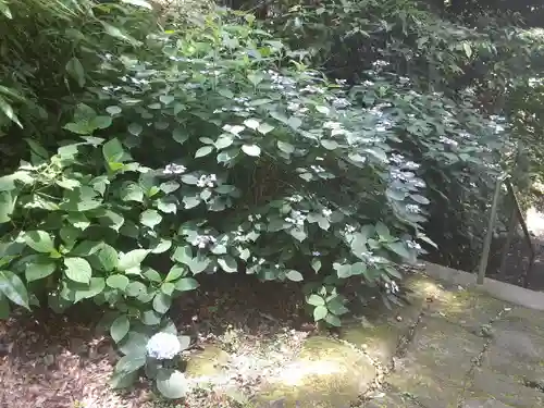 光則寺(神奈川県)