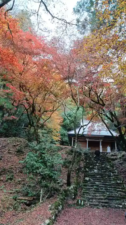 鶏足寺(滋賀県)