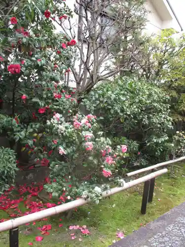 地蔵院（椿寺）の庭園