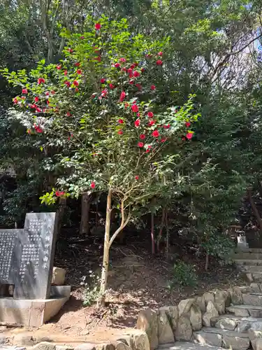 勝岡八幡神社(愛媛県)