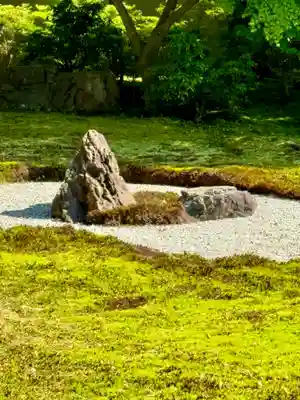 高台寺（高台寿聖禅寺・高臺寺）(京都府)