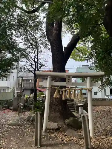綿神社の{uncategorized: "未分類", other: "その他", undefined: "問題あり", building: "その他建物", grave: "お墓", sacred_gate: "鳥居", guardian: "狛犬", statue: "像", buddha: "仏像", history: "歴史", nature: "自然", garden: "庭園", animal: "動物", pagoda: "塔", temizu: "手水舎", mountain_gate: "山門・神門", sanctuary: "本殿・本堂", subordinate: "末社・摂社", art: "芸術", scenery: "景色", jizo: "地蔵", ema: "絵馬", goshuin: "御朱印", omikuji: "おみくじ", items: "授与品その他", amulet: "お守り", goshuincho: "御朱印帳", eats: "食事", festival: "お祭り", votive_dance: "神楽", shichigosan: "七五三参", wedding: "結婚式", experience: "体験その他", initially: "初詣", around: "周辺", anti_infection: "感染症対策"}