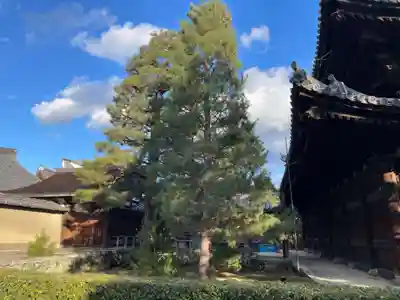 大徳寺(京都府)