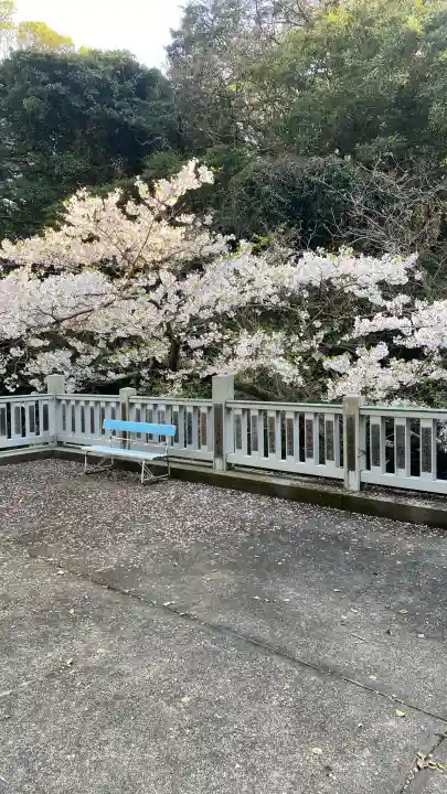 紅石稲荷神社の{uncategorized: "未分類", other: "その他", undefined: "問題あり", building: "その他建物", grave: "お墓", sacred_gate: "鳥居", guardian: "狛犬", statue: "像", buddha: "仏像", history: "歴史", nature: "自然", garden: "庭園", animal: "動物", pagoda: "塔", temizu: "手水舎", mountain_gate: "山門・神門", sanctuary: "本殿・本堂", subordinate: "末社・摂社", art: "芸術", scenery: "景色", jizo: "地蔵", ema: "絵馬", goshuin: "御朱印", omikuji: "おみくじ", items: "授与品その他", amulet: "お守り", goshuincho: "御朱印帳", eats: "食事", festival: "お祭り", votive_dance: "神楽", shichigosan: "七五三参", wedding: "結婚式", experience: "体験その他", initially: "初詣", around: "周辺", anti_infection: "感染症対策"}
